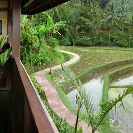 Bali Eco Stay Dış mekan fotoğraf