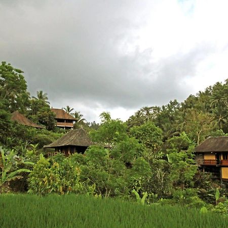 Bali Eco Stay Dış mekan fotoğraf