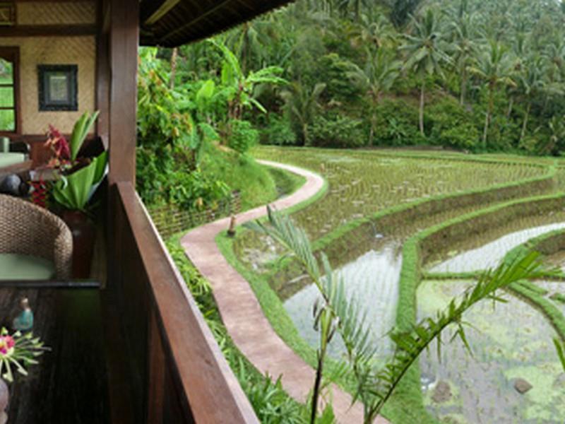 Bali Eco Stay Dış mekan fotoğraf