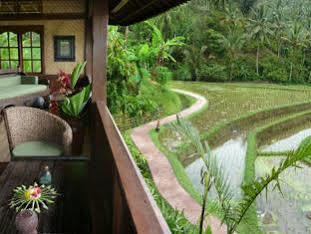 Bali Eco Stay Dış mekan fotoğraf